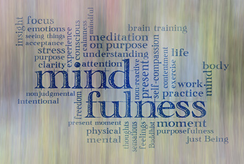 The Everyday Mindfulness Model