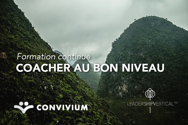 Coacher au bon niveau