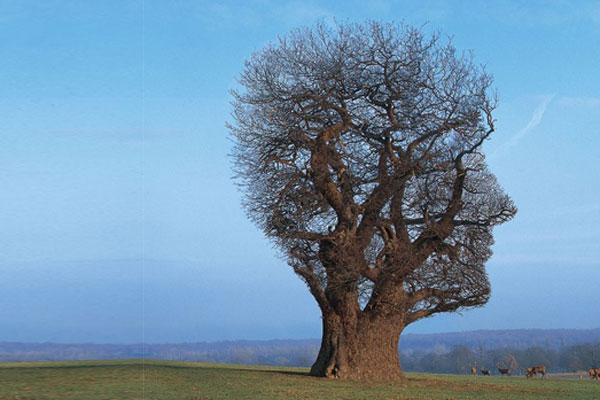 L'entretien motivationnel en coaching