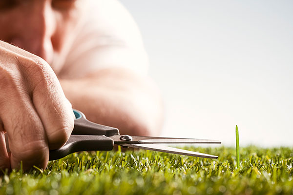 La perfection, un « handicap » en gestion